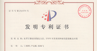 核心競爭力